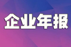 企业年报